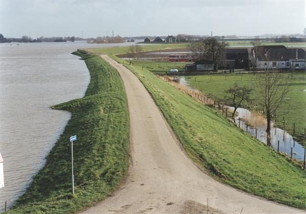 River dike with road on top along the river